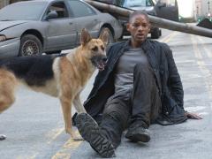 Фильмы про скелетов