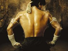 Фильмы про мастеров боевых искусств