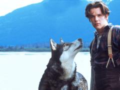 Фильмы про домашних животных