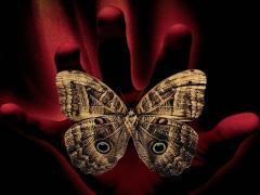 Фильмы про время