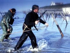 Фильмы про предательство