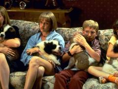 Фильмы про дошкольников