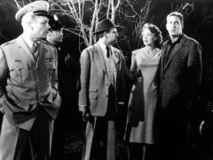 Фильмы про стюардесс