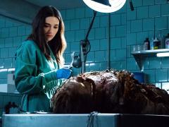 Сериалы про жадность