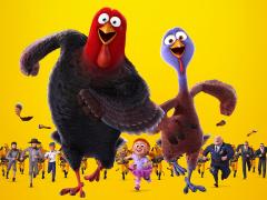 Фильмы про птиц