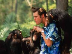 Фильмы про Тибет