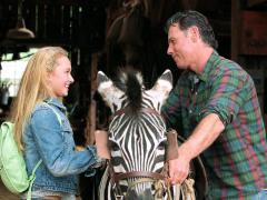 Фильмы про Зебр