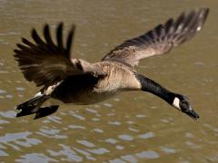 Фильмы про осень