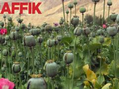 Сериалы про фермеров