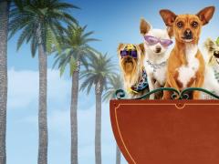 Фильмы про говорящих собак