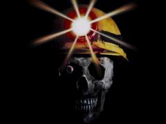 Фильмы про крыс