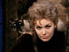 Фильмы про колдовство