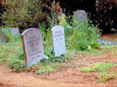 Фильмы про предсказателей