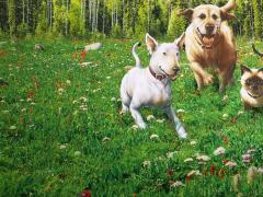 Фильмы про Медведей