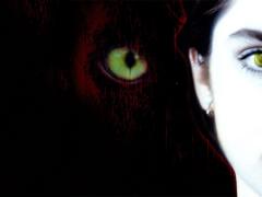 Фильмы про полицейских собак