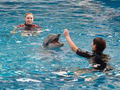 Фильмы про животный мир