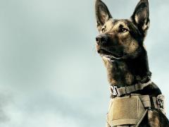 Фильмы про Грузию