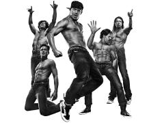 Фильмы про стриптизеров