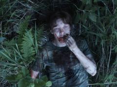 Фильмы про дикую местность