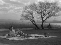 Фильмы про принуждение