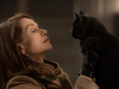 Фильмы про безумие