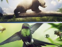 Фильмы про диких животных