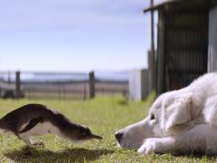 Фильмы про дедушку и внучку