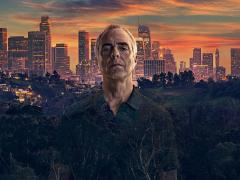 Сериалы про юристов и адвокатов