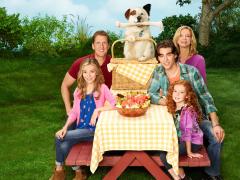 Сериалы про собак