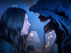 Фильмы триллеры про лес